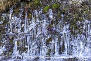 Lire la suite à propos de l’article Sortie Tichodrome glacé