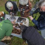 Sortie Collemboles, Scilles et Érythrones