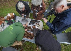 Lire la suite à propos de l’article Sortie Collemboles, Scilles et Érythrones
