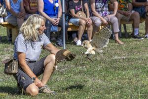 Lire la suite à propos de l’article Des rapaces